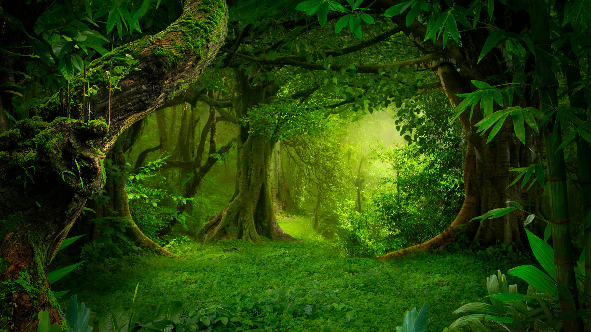 Cát Bà – Viên Ngọc Xanh Giữa Vịnh Bắc Bộ