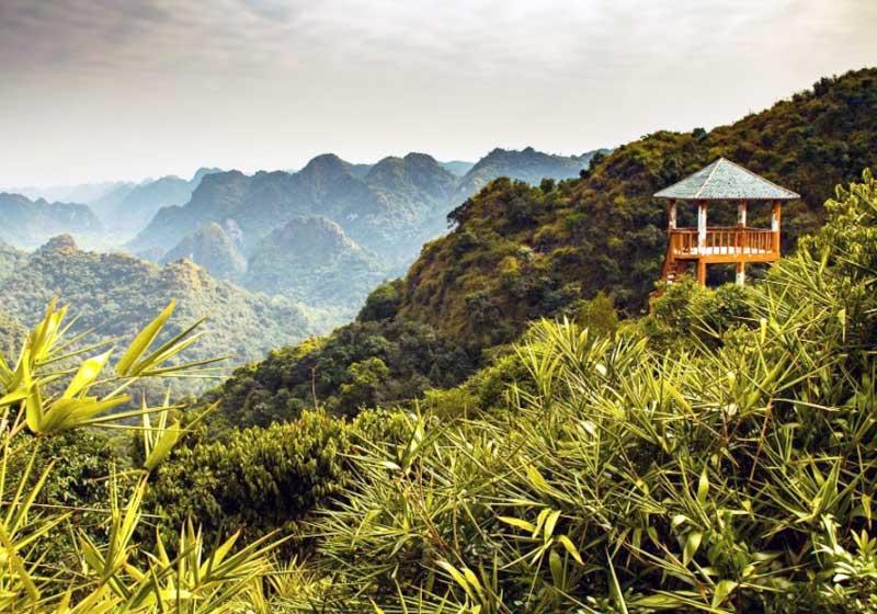 Ẩm thực giữa đại ngàn